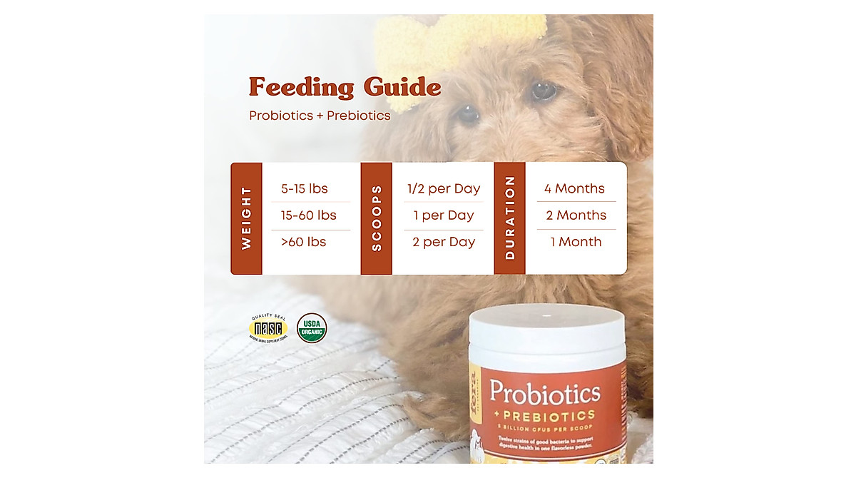 Photo inspiration: Fera Pets Probiotics Omega 3S For Dogs Cats Photo Inspiration
