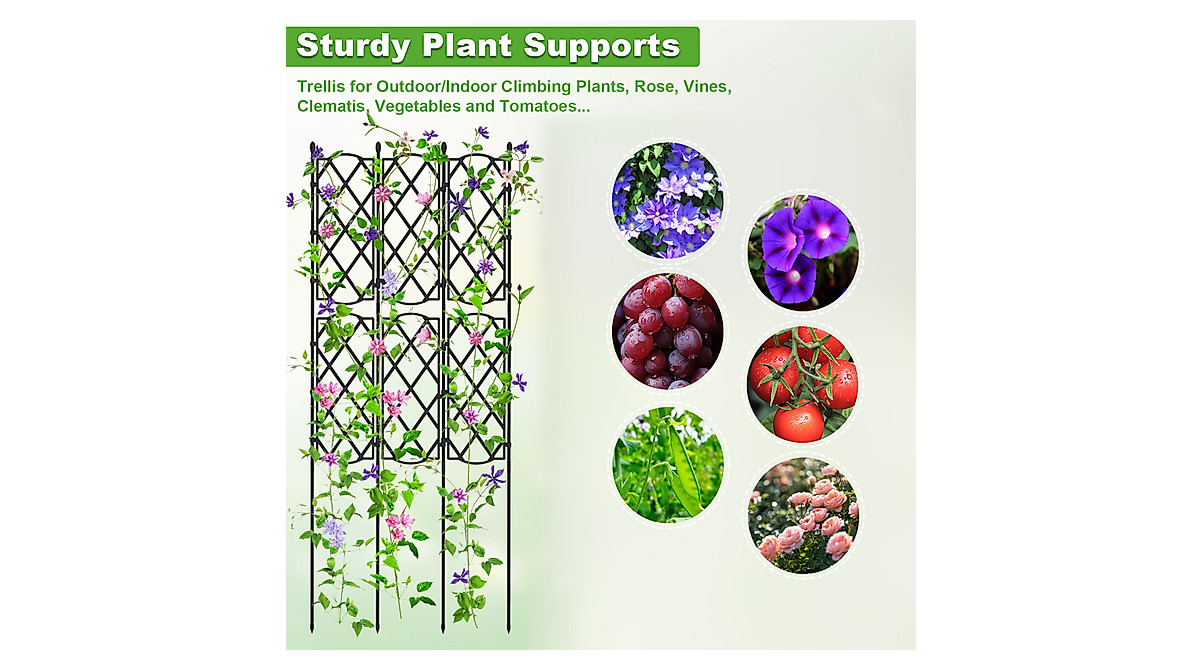 Garden Trellis Support for Climbing Plants | Durable & Versatile