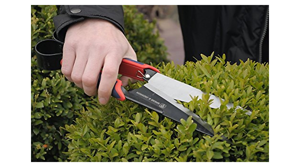 Spear & Jackson Razorsharp Topiary Shears - 7