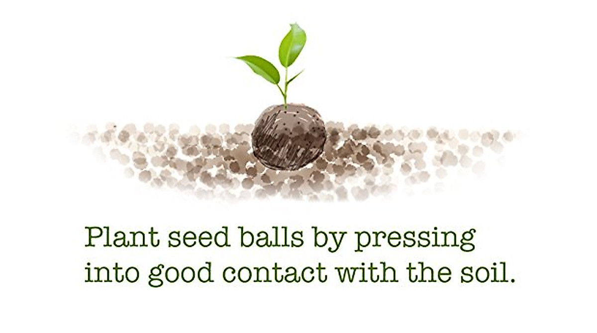 Finest Seed Bomb Matrix - Over 200 Seed Balls