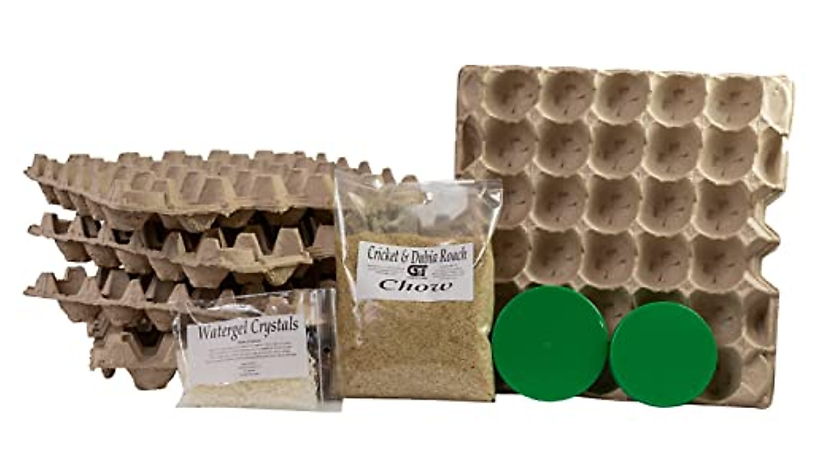 G&T Dubia Roach Starter Kit - Self-Sufficient Insect Colony Nutrition