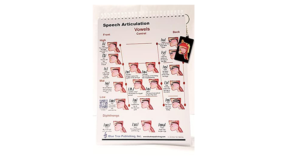 Complete SLP Charts Series with QR Codes & Mini Model
