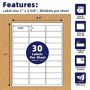EcoSwift Laser Address Labels – 300,000 Total, 30 Per Sheet, 2.625" X 1", Shipping Adhesive Labels