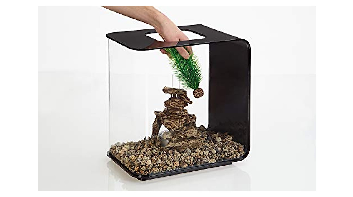 biOrb Feather Fern Set Small Green Aquarium Decor - Fish Safe