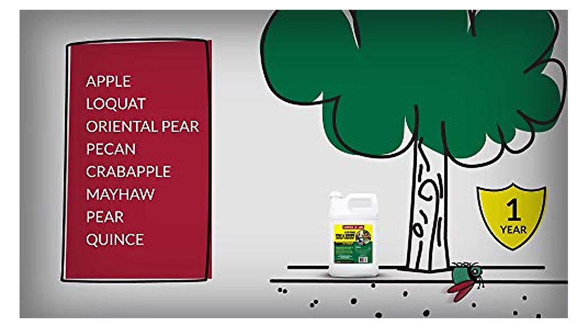 Protect Trees & Shrubs for 12 Months | Compare-N-Save Insect Drench