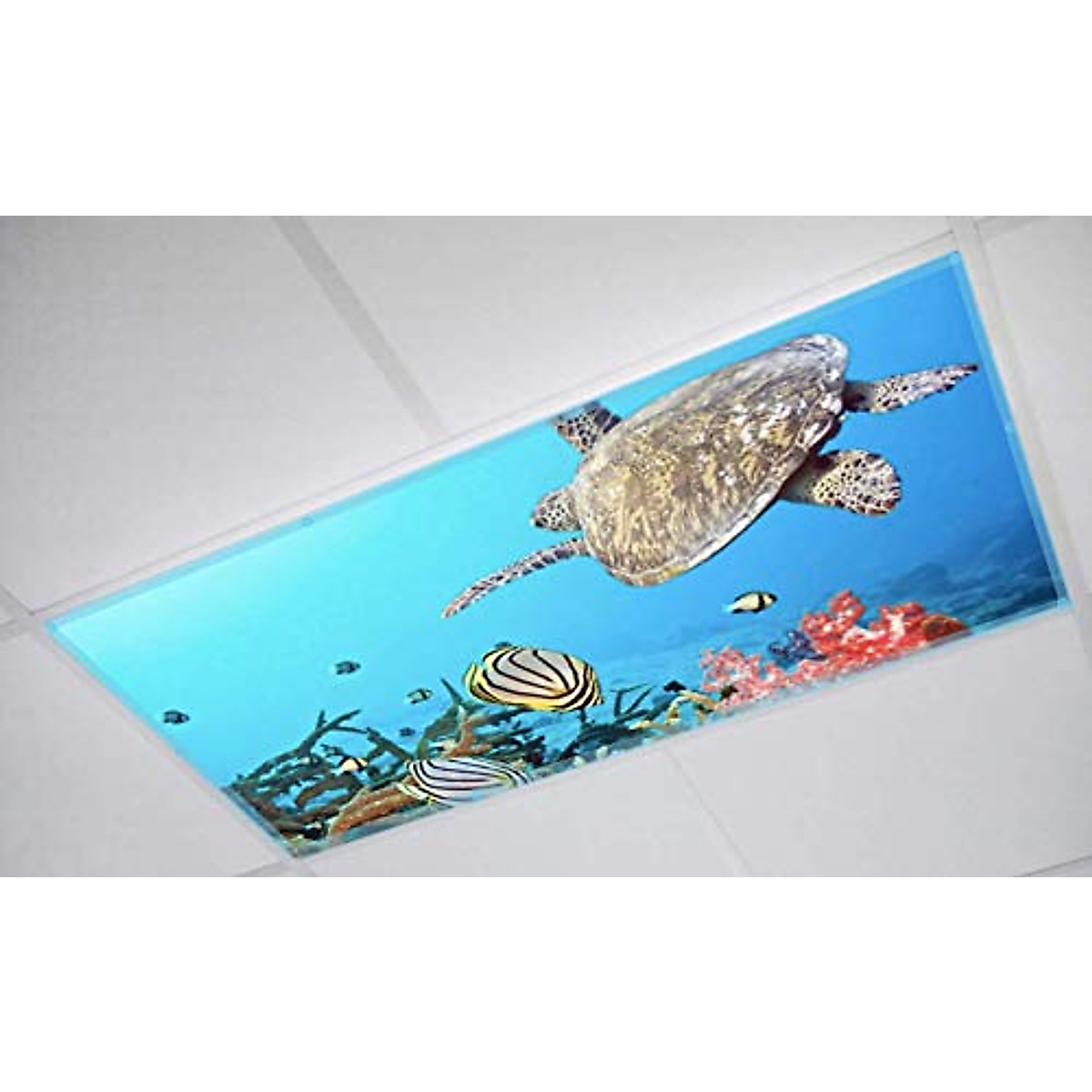 ShadeMAGIC Fluorescent Light Covers for Offices & Classrooms