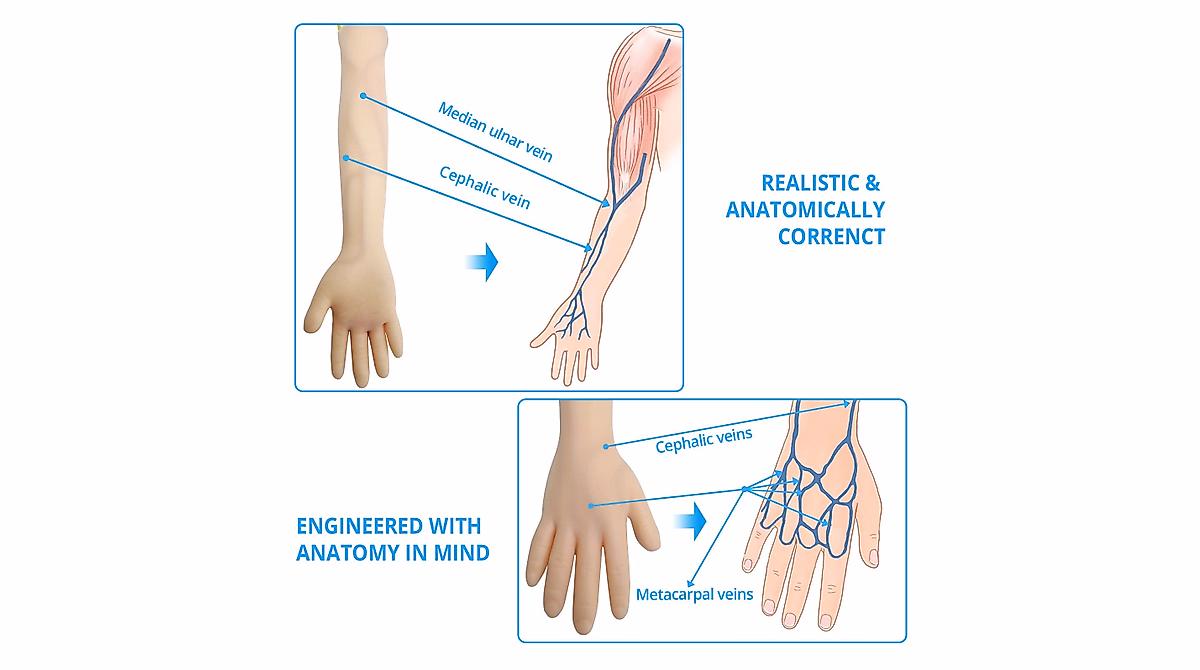 WELLiSH IV Practice Arm for Venipuncture and Blood Drawing