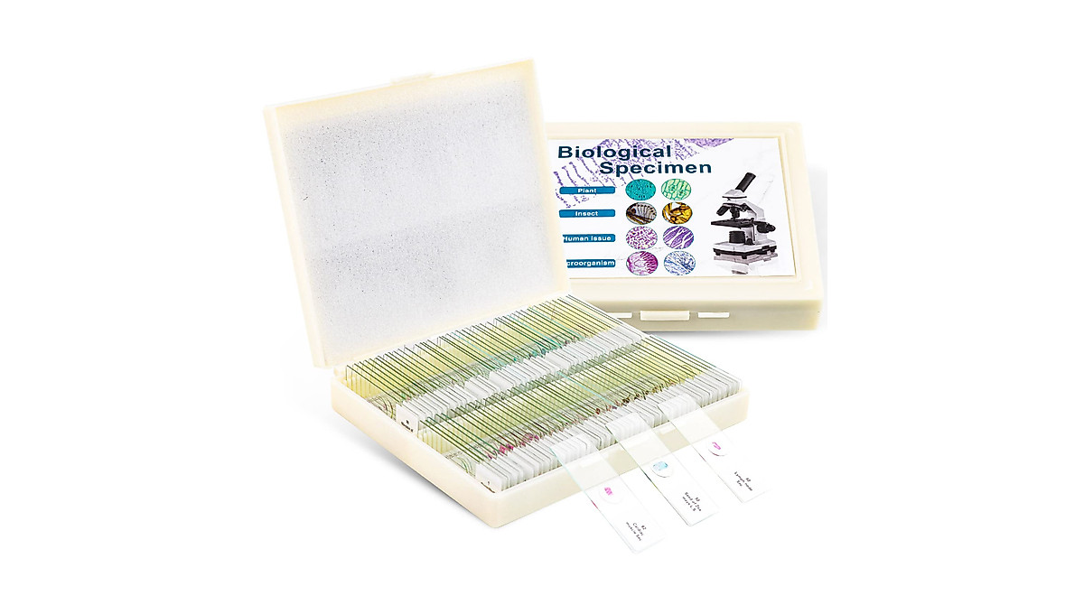 Explore Science: 100 Prepared Microscope Slides Kit
