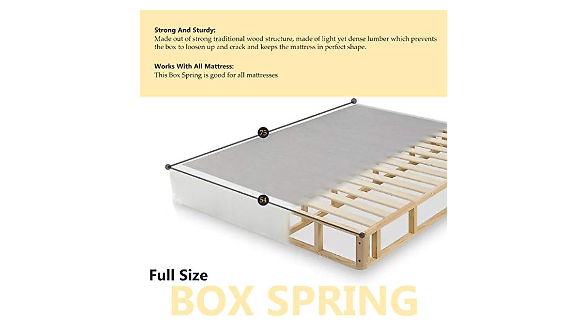 Mayton 10-Inch Plush Innerspring Mattress & Box Spring Set