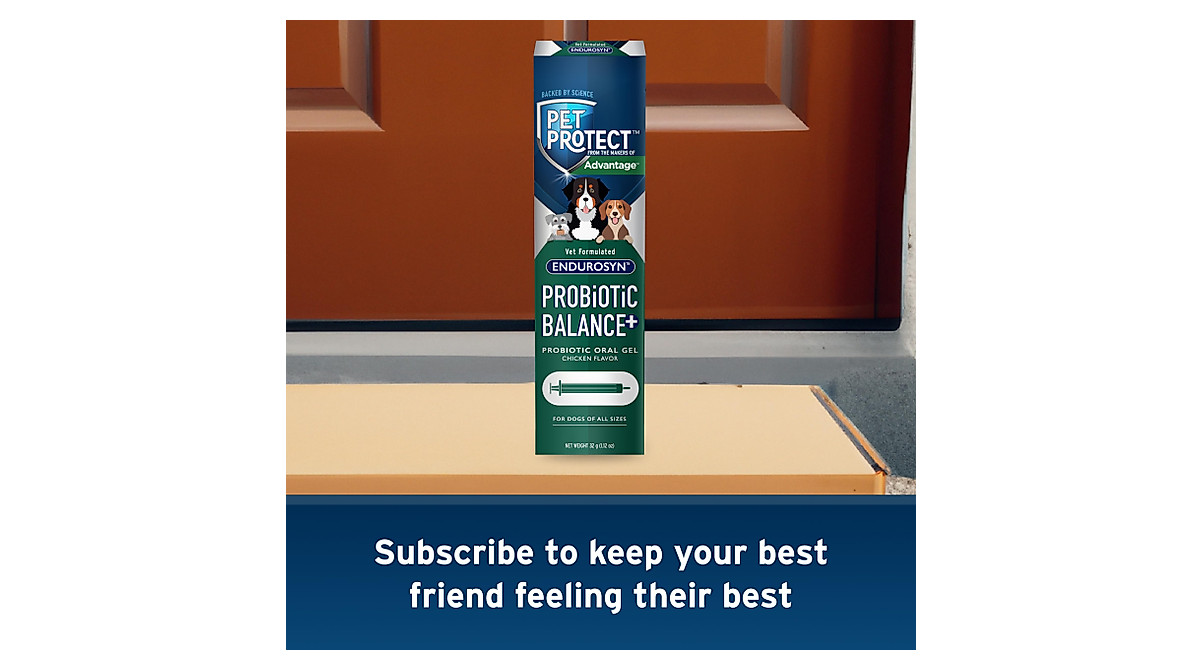 Pet Protect Probiotic Balance+ for Dogs - 32g Oral Gel