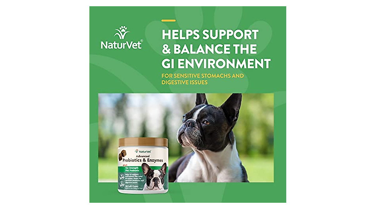 Veterinarian Strength Probiotics for Dogs - 120 Soft Chews | NaturVet