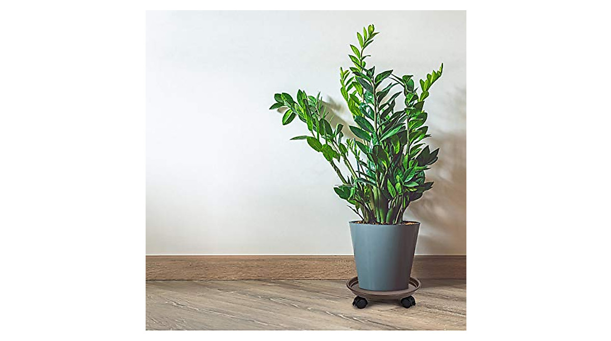 Fasmov Plant Caddy - Move Your Plants Easily