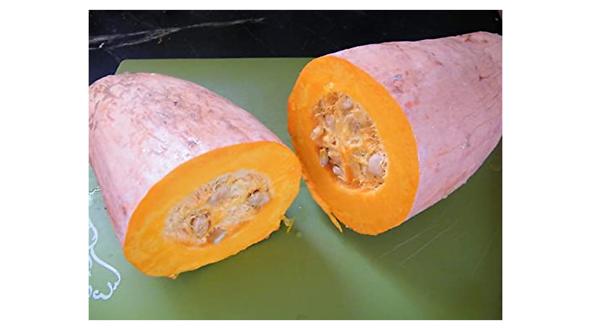 Buy Jumbo Pink Banana Squash Seeds - 40+ Count Pack
