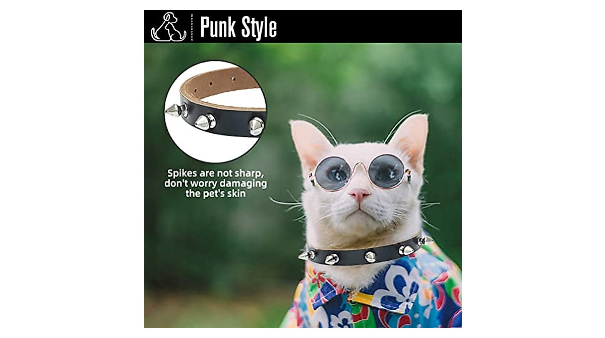 Studded Genuine Leather Cat Collar with Adjustable Design