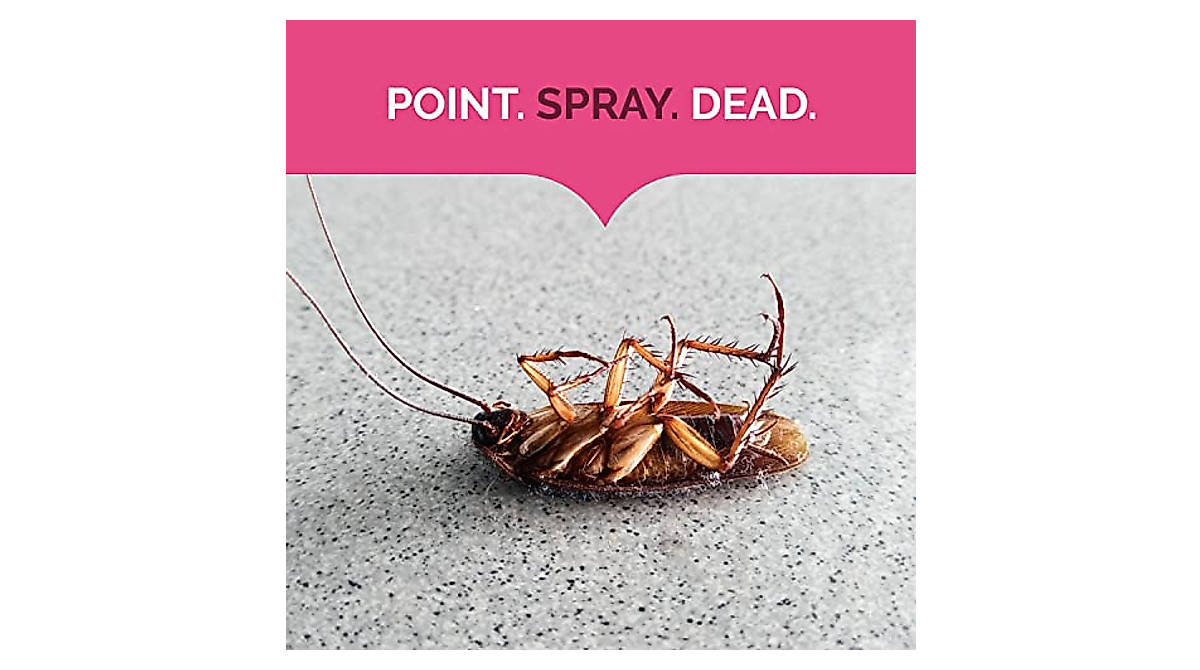 Hot Shot Ant, Roach & Spider Killer 2-Pack | Kills on Contact