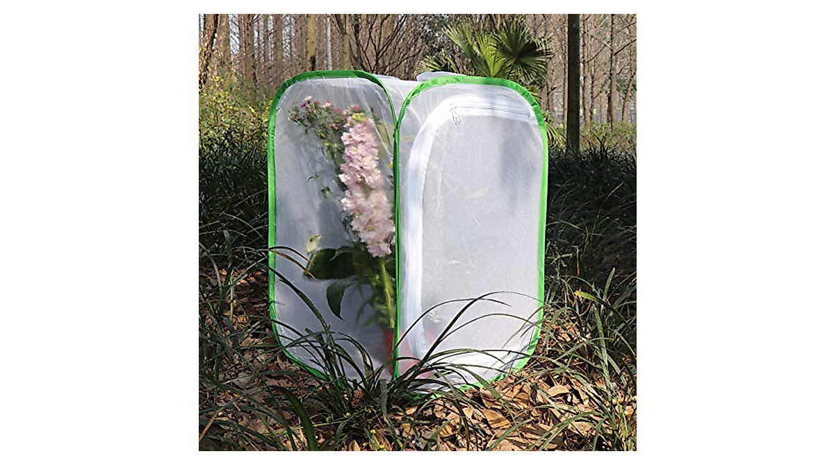 RESTCLOUD Butterfly Habitat Cage - Durable Pop-up Terrarium 24