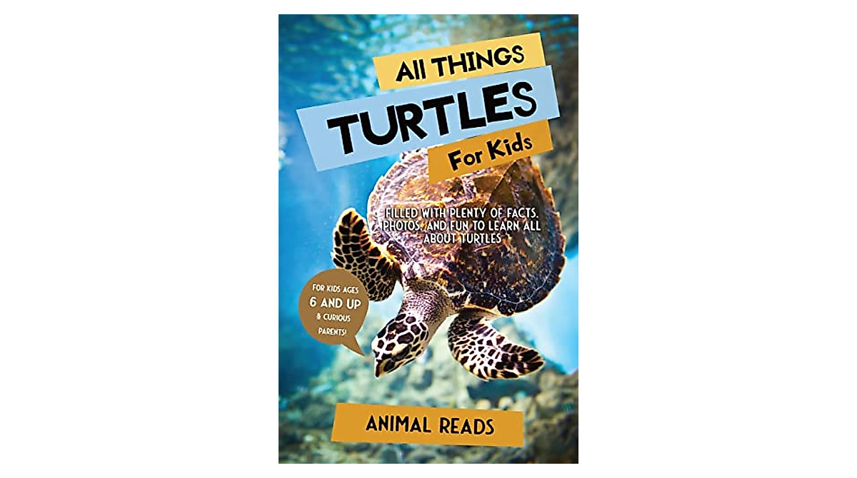 All Things Turtles Book for Kids | Fun & Facts