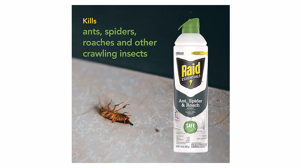 Raid Essentials Ant & Roach Killer Spray - Child & Pet Safe