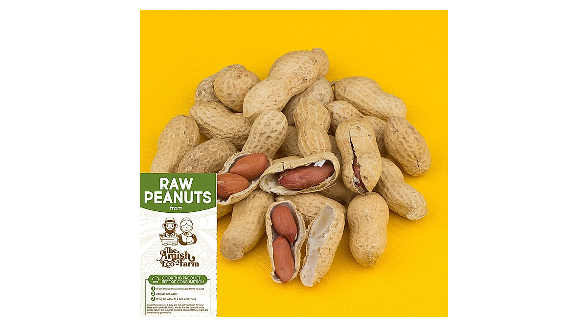 Amish Eco-Farm Raw Peanuts | Virginia Grown, Boil or Feed!