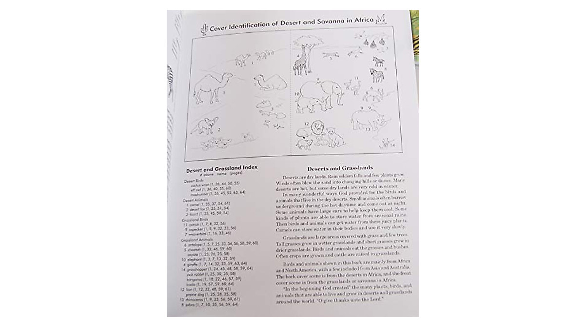 Rod & Staff Preschool Curriculum GHI JKL Series - 6 Workbooks for Early ...