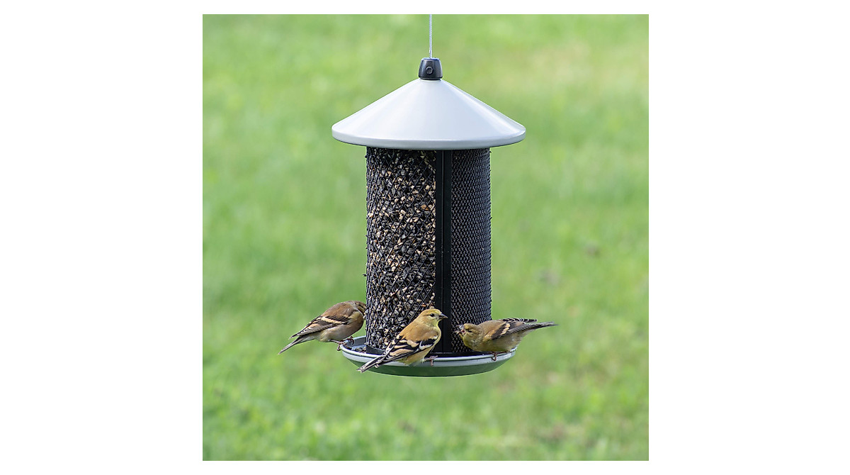 Perky Pet Dual Mesh Bird Seed Feeder for Clinging & Perching Birds