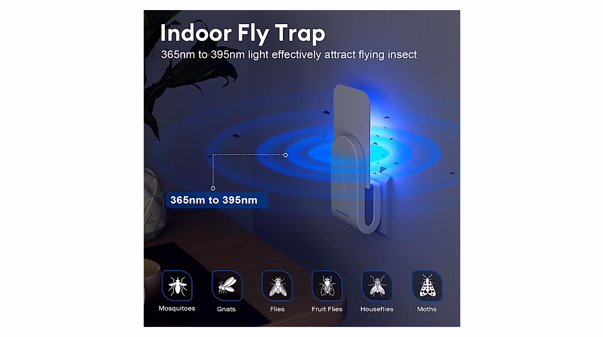 Effective 2 Pack Indoor Fly Trap - Safe & Stylish Design