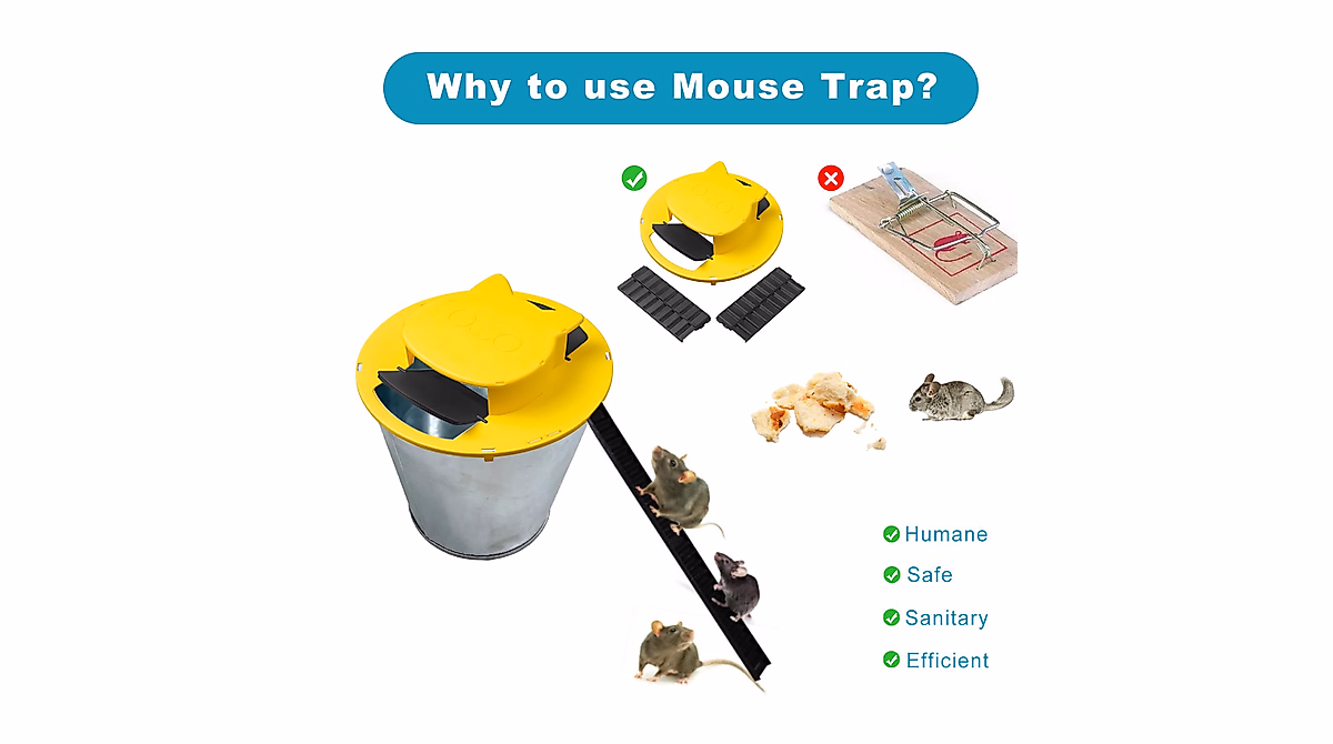 Upgrade Your Pest Control with Our Bucket Mouse Trap