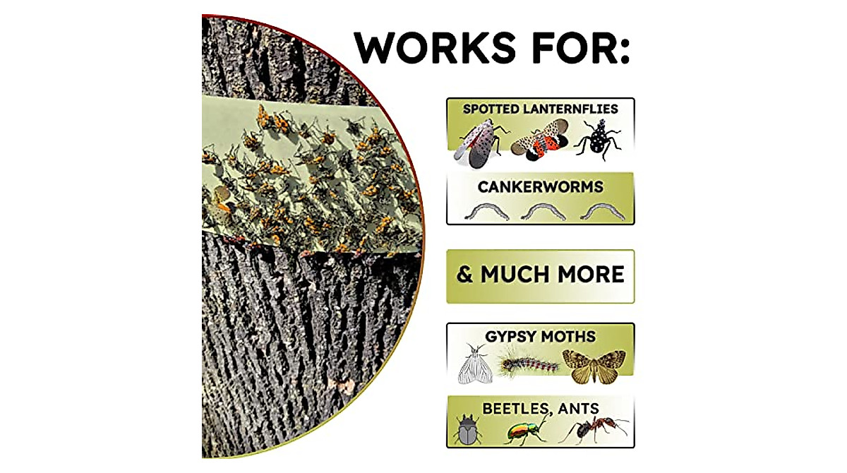 W4W Lantern Fly Tree Trap - 4 Rolls for Effective Protection