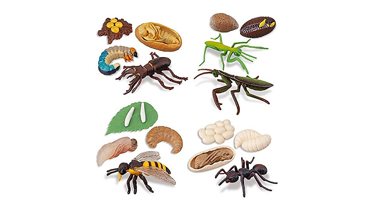 Educational Toymany Insect Life Cycle Figurines Set