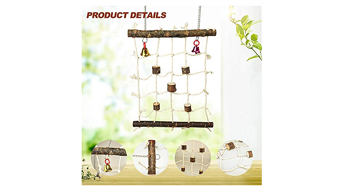 Curated visual reference: Parrot Climbing Ladder Toys For Active Birds Photo Inspiration