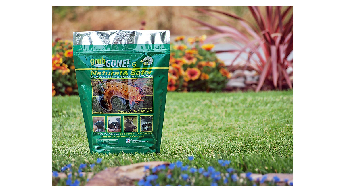 BioProducts' grubGONE! Organic Grub Control with BTG | Natural Pest ...