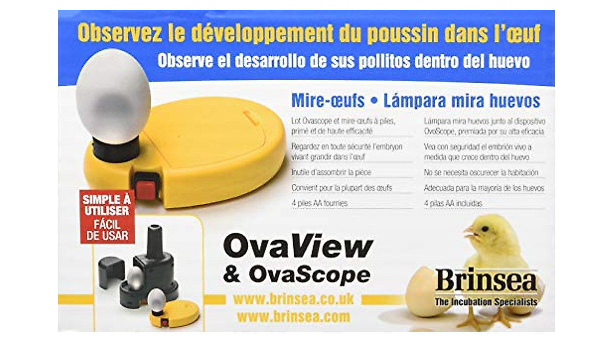 Brinsea Egg Scope for Embryo Monitoring | Clear, Safe Inspection