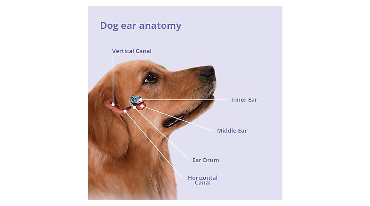 Mal-A-Ket Plus TrizEDTA Flush for Pets - Safe Ear & Skin Care