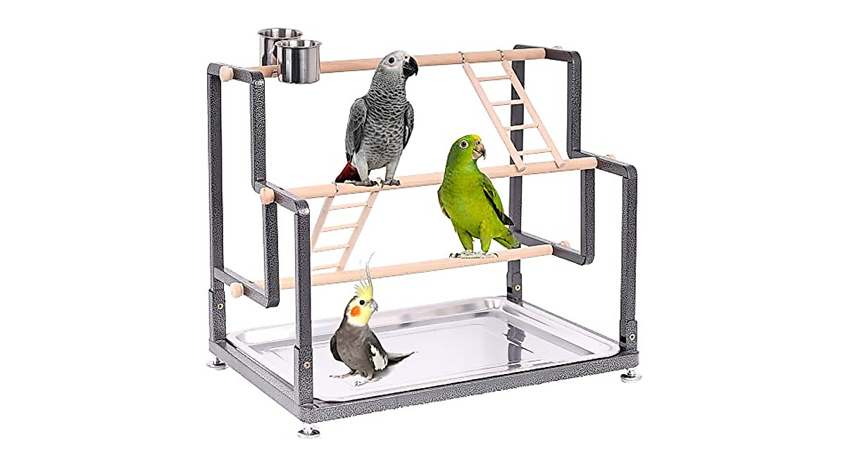Bird Playground with Collapsible Design - Easy Setup