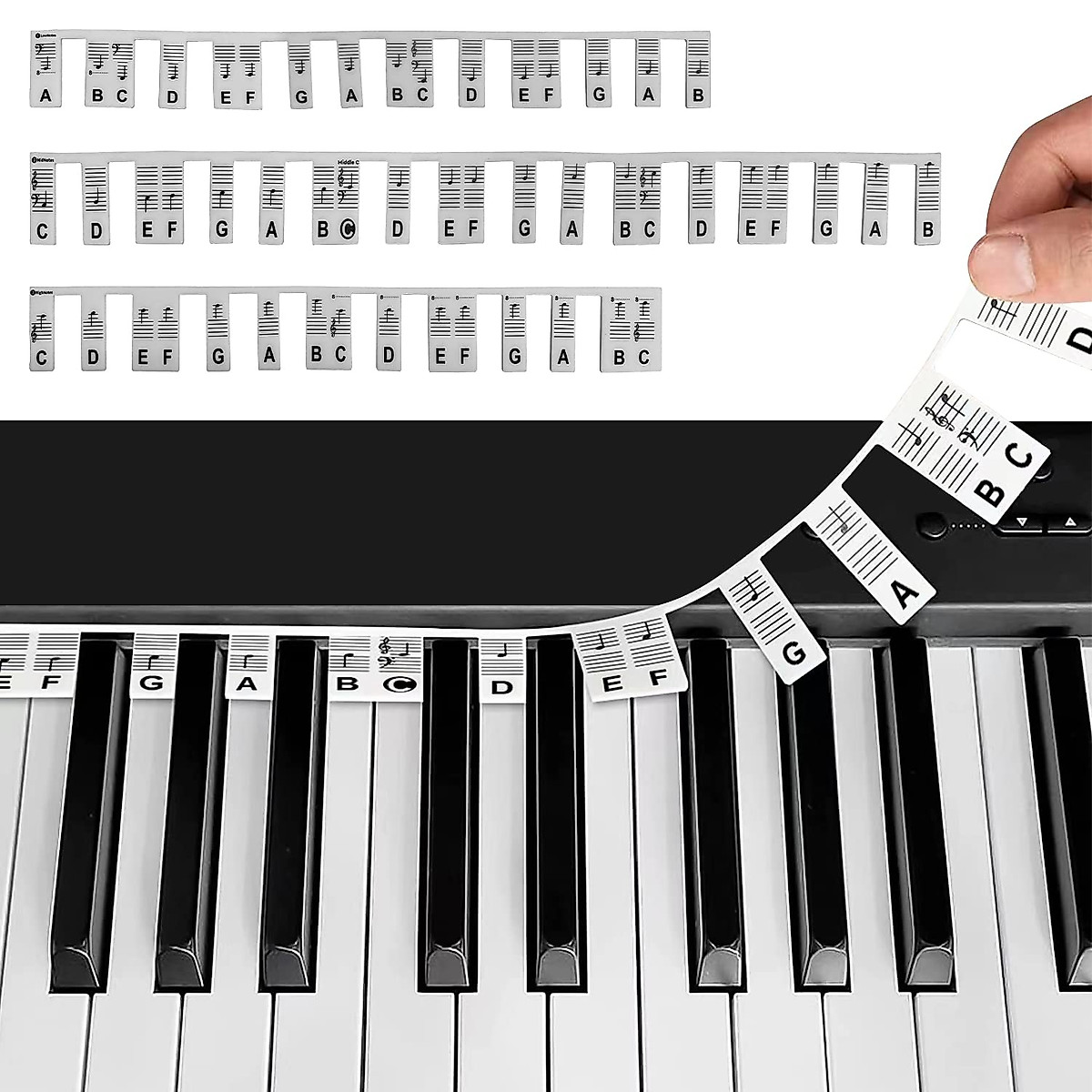 Removable Piano Keyboard Note Labels - Easy Learning Tool for Beginners
