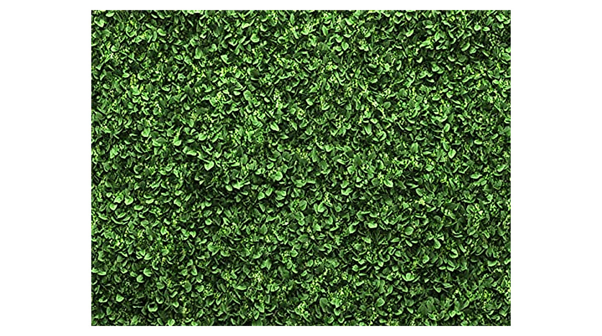 Green Leaves Backdrop for Events & Photography | Vibrant Jungle Theme