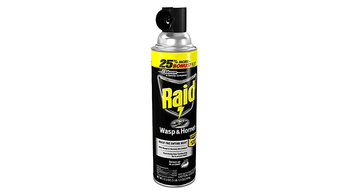 Raid Wasp and Hornet Killer - Fast-Acting Pest Control Spray