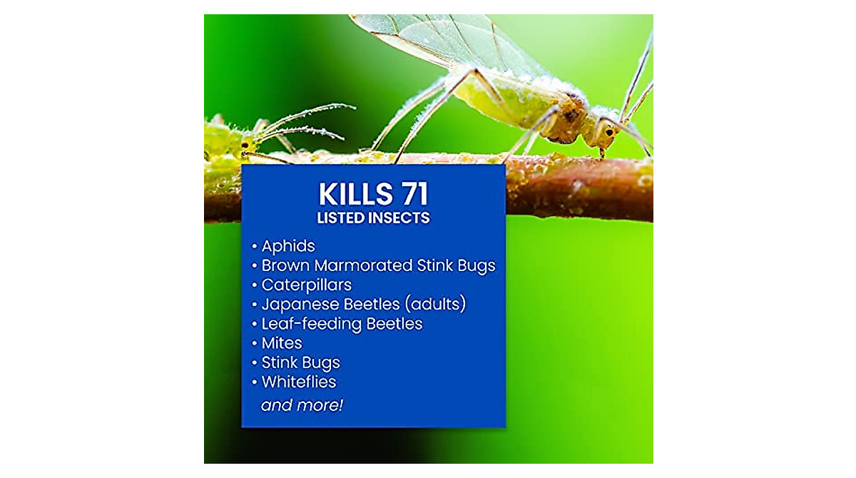 BioAdvanced Complete Insect Killer - Ready-to-Spray 32 oz