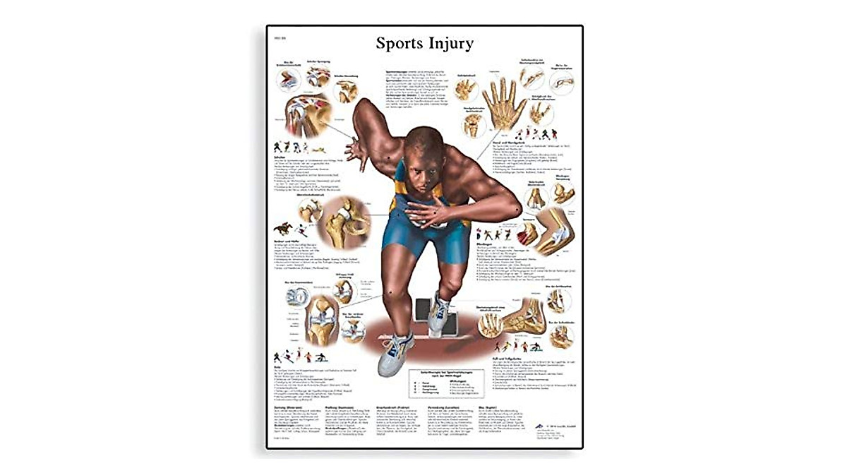 3B Scientific Sports Injuries Anatomical Chart 20x26