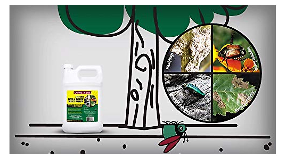 Protect Trees & Shrubs: Compare-N-Save 12-Month Insect Drench