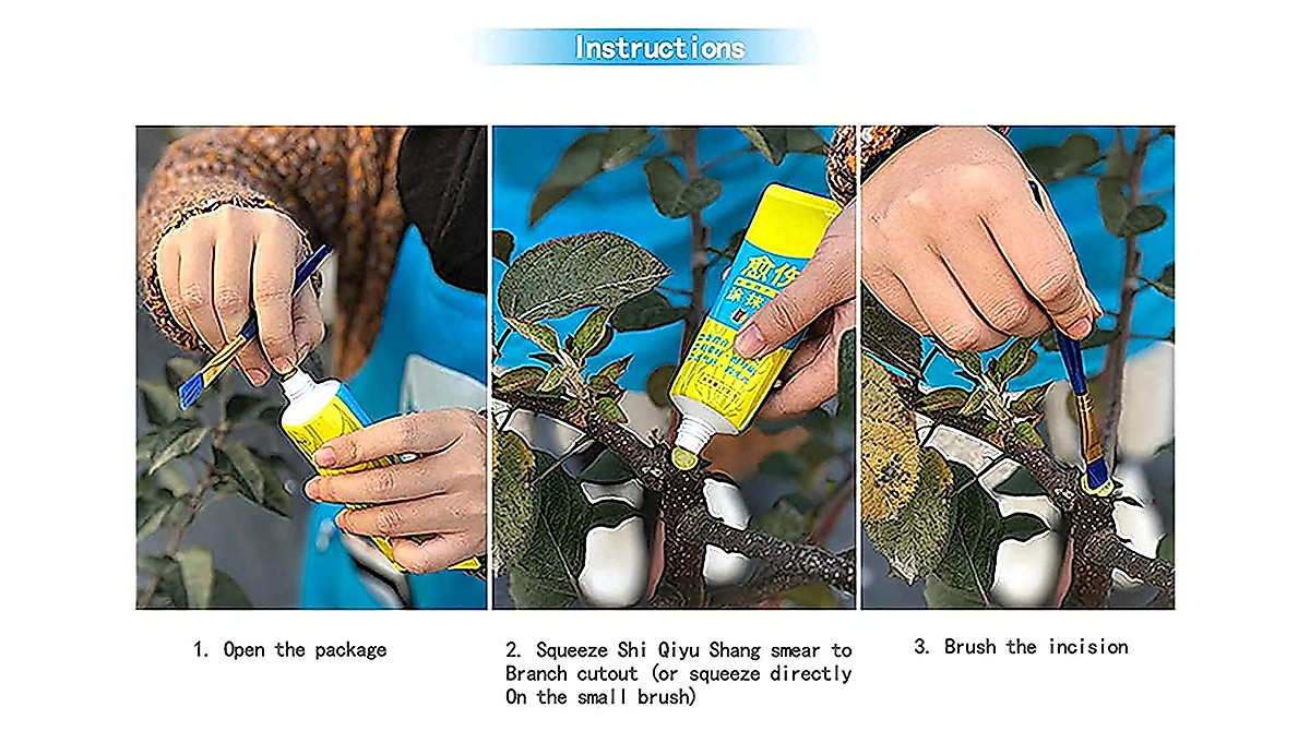 Ilustrasi visual penggunaan sealant luka potong bonsai pentingnya perawatan luka pada bonsai
