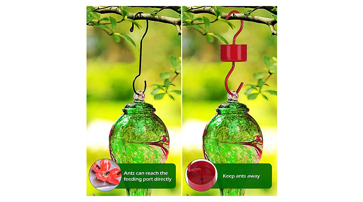 Protect Hummingbird Feeders: Red Metal Ant Moat 3-Pack