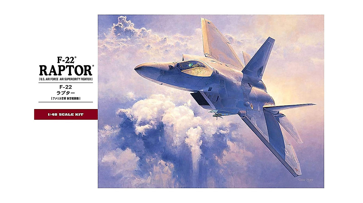 Hasegawa 1/48 F-22 Raptor Model Kit | Detailed Aviation Replica
