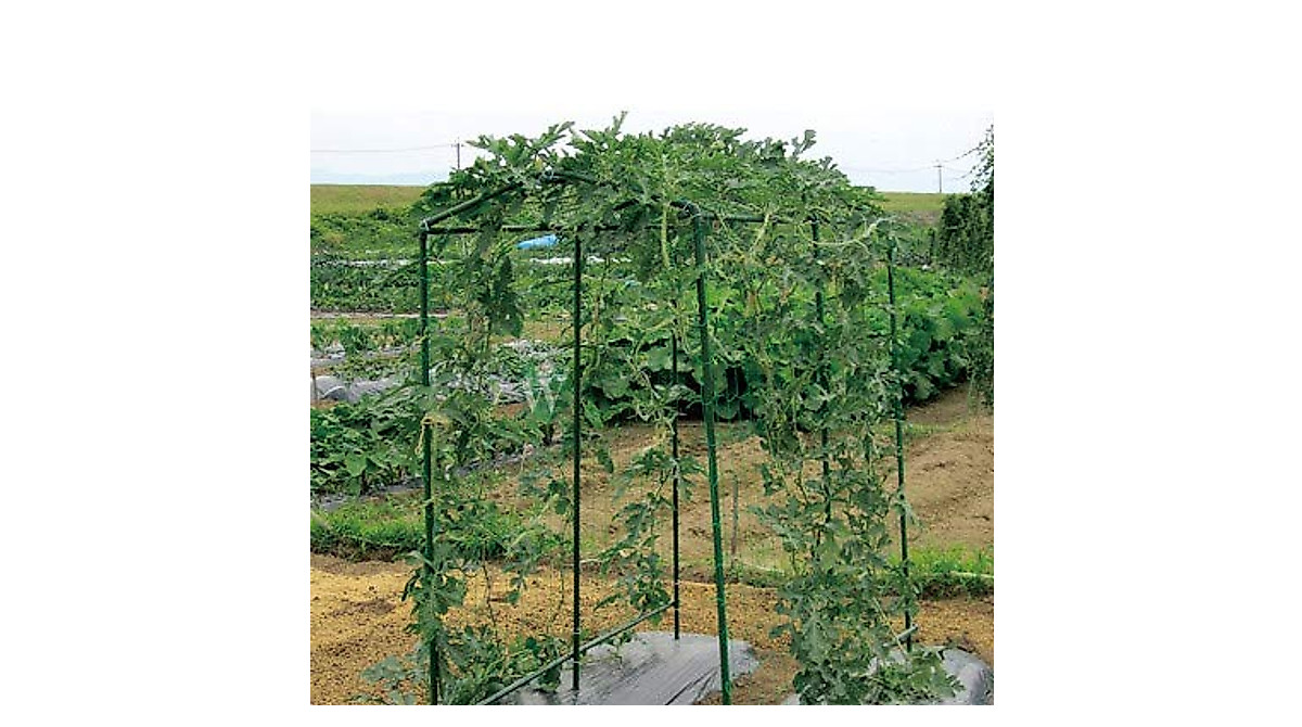 Heavy Duty Garden Trellis Netting 5x60 ft for Climbing Plants