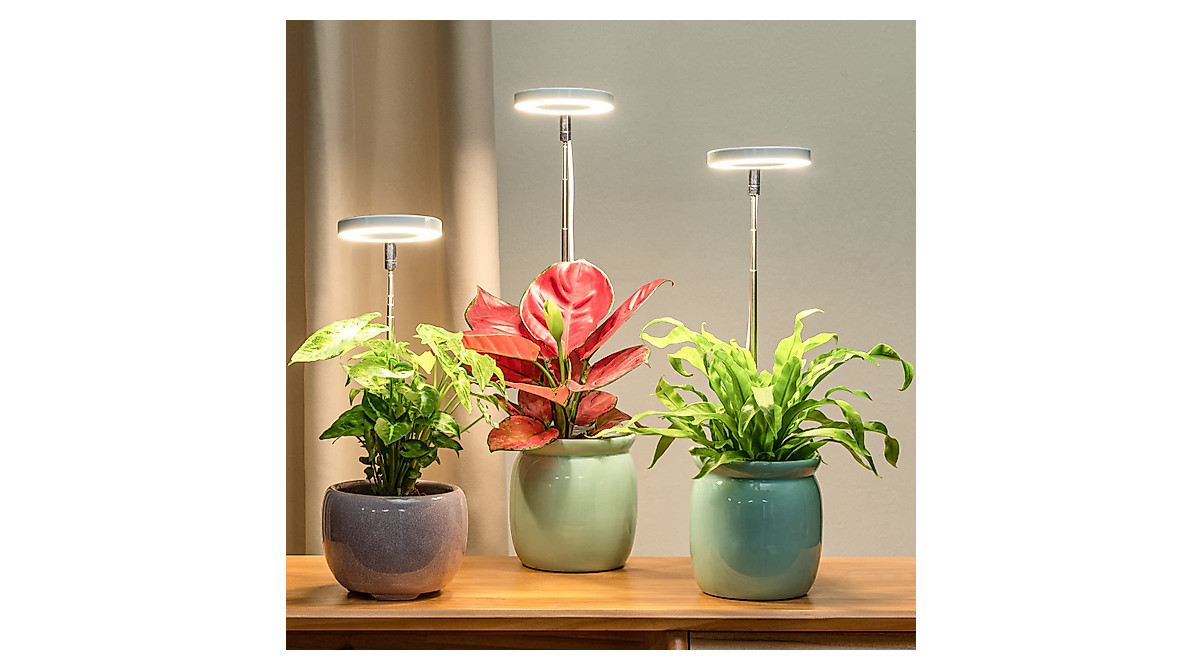 LORDEM Grow Light for Indoor Plants | Full Spectrum LED Lamp