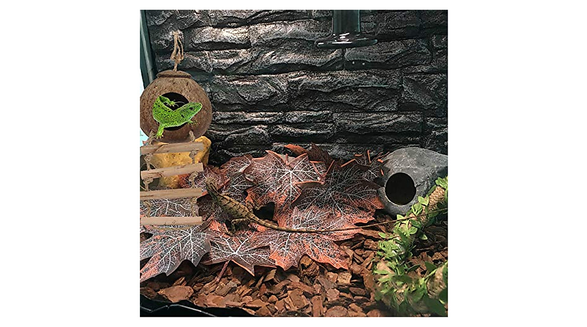 kathson Lizard Coco Den for Bearded Dragons