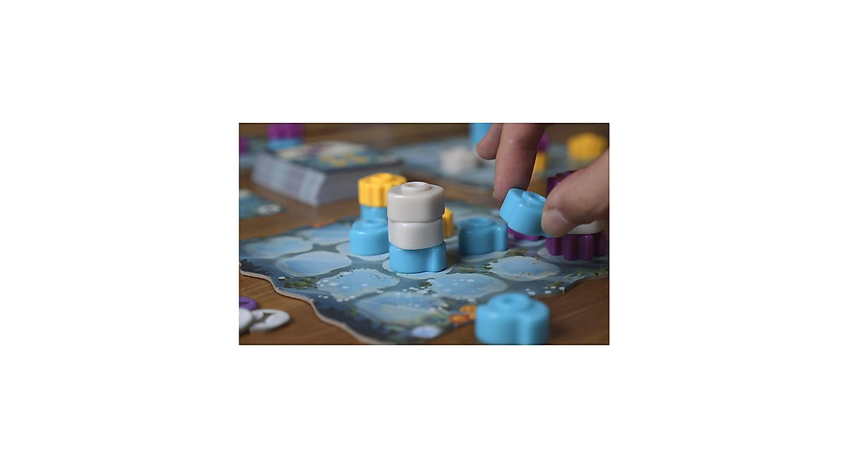 Reef Board Game Second Edition - Fun Family Strategy Game for Kids & Adults