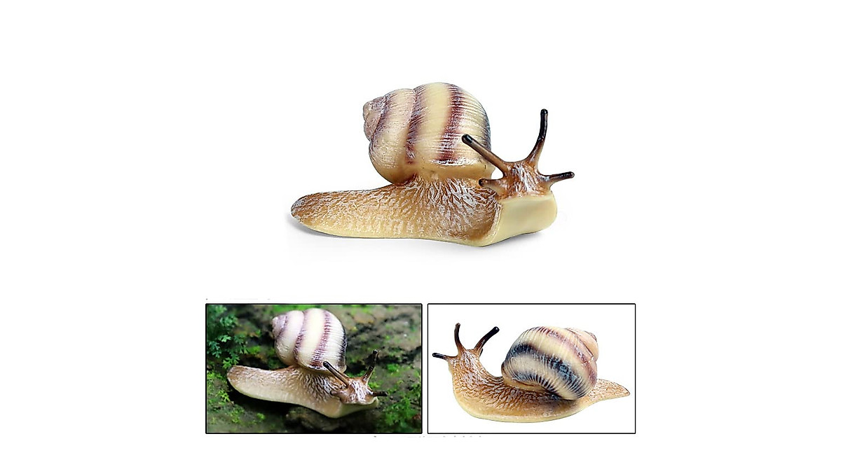Rich Boxer Snail Figurines Set - 8 Realistic Models