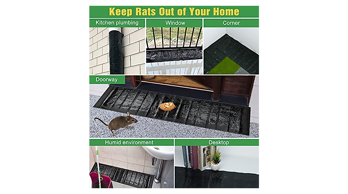 6 Pack Large Sticky Mouse Traps for Mice and Rodents | Safe & Effective