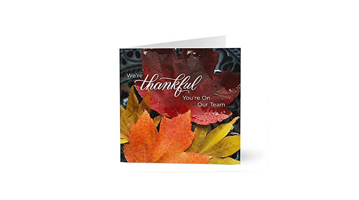 Thankful Team Thanksgiving Cards | Hallmark Bulk Packs